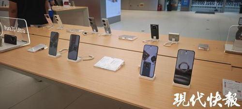 前5月南京經(jīng)濟(jì)穩(wěn)健增長(zhǎng)，‘以舊換新’政策顯效，汽車與家電零售額大幅攀升